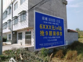 潜山墙体广告质量分析